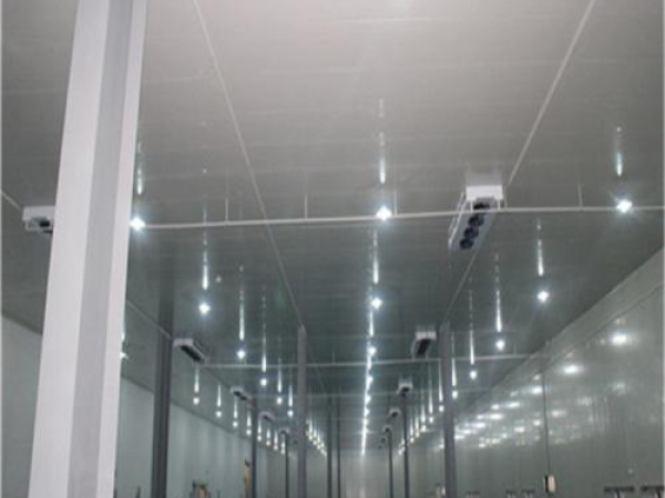 建造安裝食品低溫冷藏庫有哪些因素影響造價？